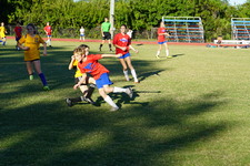 Enlarge photo 309