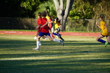 Enlarge photo 347