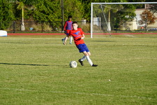 Enlarge photo 357