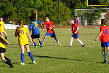 Enlarge photo 361