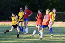 Enlarge photo 383
