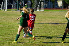 Enlarge photo 35