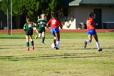 Enlarge photo 41