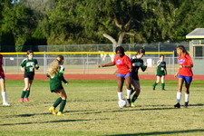 Enlarge photo 45