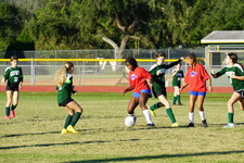 Enlarge photo 47