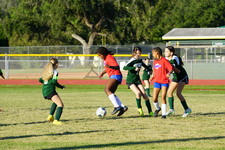 Enlarge photo 46
