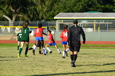 Enlarge photo 49