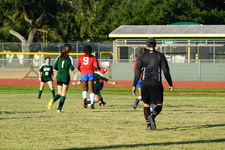 Enlarge photo 50