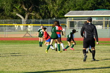 Enlarge photo 52