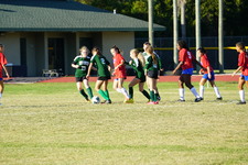 Enlarge photo 55