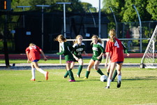 Enlarge photo 83