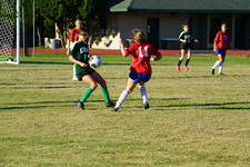 Enlarge photo 90