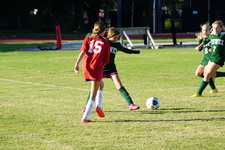 Enlarge photo 99