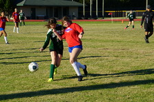 Enlarge photo 102