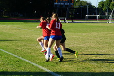 Enlarge photo 105