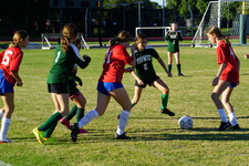 Enlarge photo 110