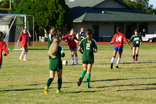 Enlarge photo 112
