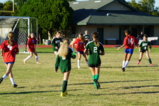 Enlarge photo 111
