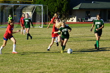 Enlarge photo 116