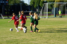 Enlarge photo 121
