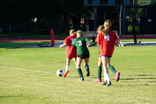 Enlarge photo 122