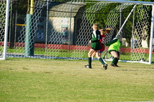 Enlarge photo 133