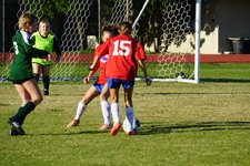 Enlarge photo 139