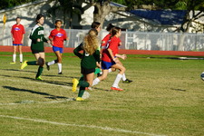 Enlarge photo 157