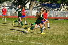 Enlarge photo 156