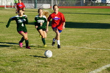 Enlarge photo 164