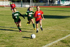 Enlarge photo 166