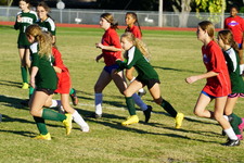Enlarge photo 174