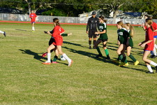 Enlarge photo 175