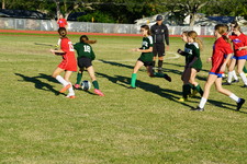 Enlarge photo 177