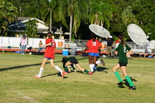 Enlarge photo 185