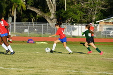 Enlarge photo 214