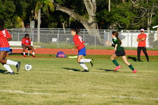 Enlarge photo 213