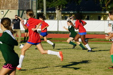 Enlarge photo 219