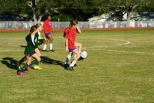 Enlarge photo 230
