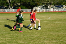 Enlarge photo 229
