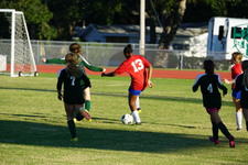 Enlarge photo 235