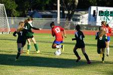 Enlarge photo 237