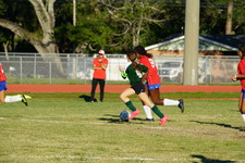 Enlarge photo 246