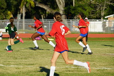 Enlarge photo 249