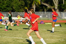 Enlarge photo 250