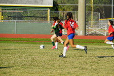 Enlarge photo 252