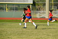 Enlarge photo 253