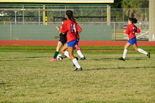 Enlarge photo 254