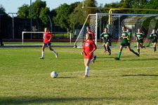 Enlarge photo 264