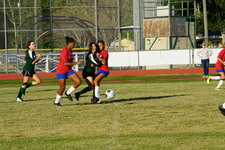 Enlarge photo 301